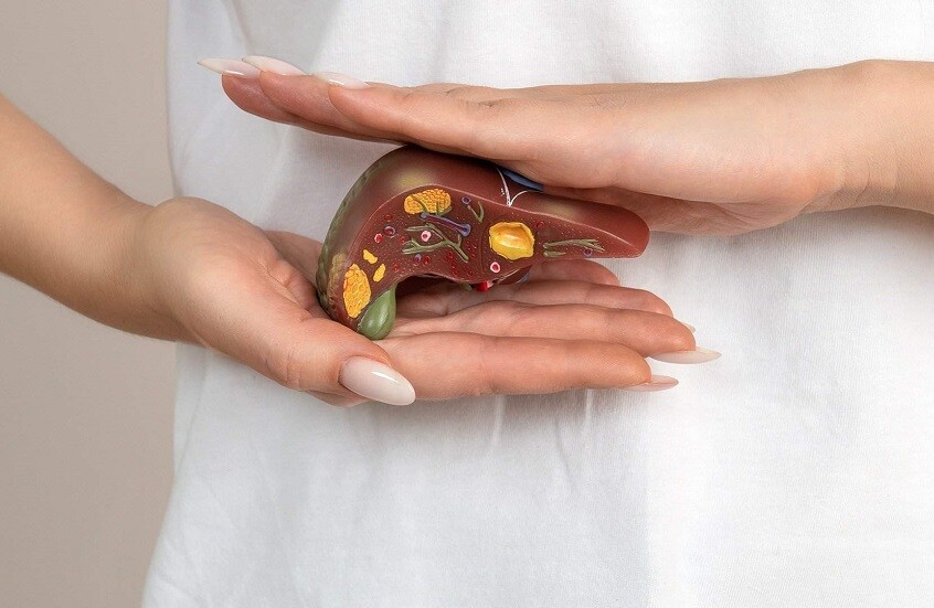 علماء روس يبتكرون تقنية لحماية الكبد وترميمه ذاتيا