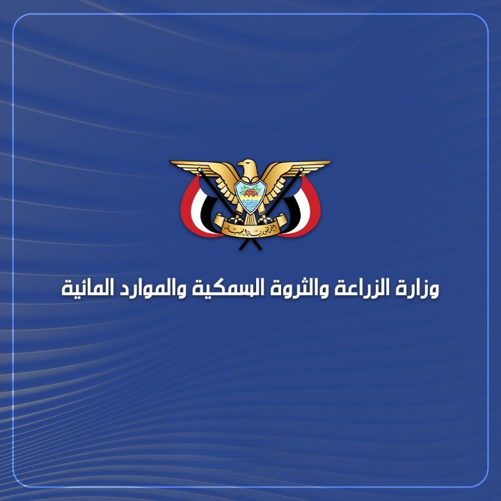 وزارة الثروة السمكية تعلن إغلاق موسم اصطياد الجمبري في البحر الأحمر