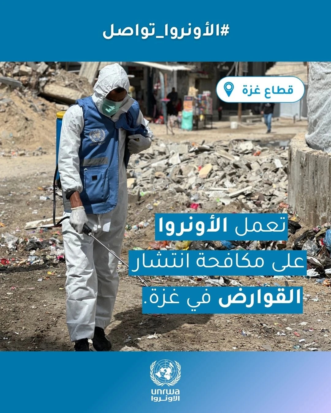 الأونروا: القوارض تنتشر في غزة وسط أزمة بيئية ونقص حاد في المبيدات