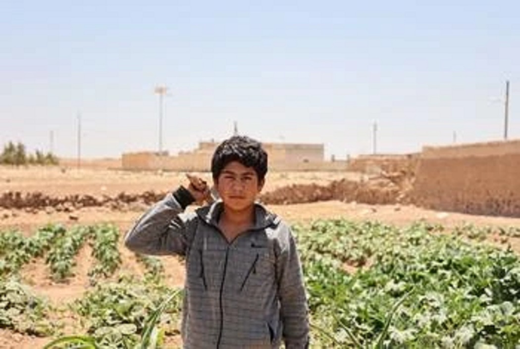 “الفاو”: الصراع في الشرق الأوسط يضع مزيدا من الضغوط على النظم الزراعية