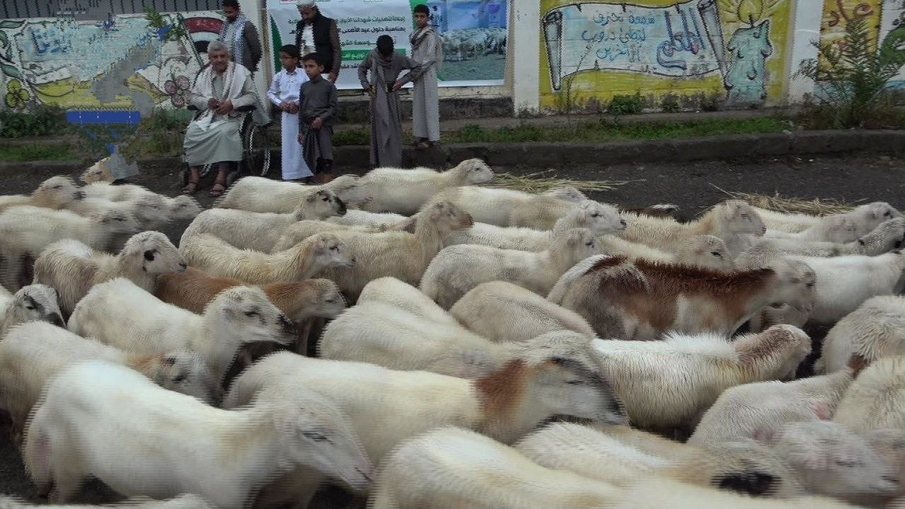 تدشين مشروع الأضاحي لأكثر من 1700 أسرة شهيد في إب