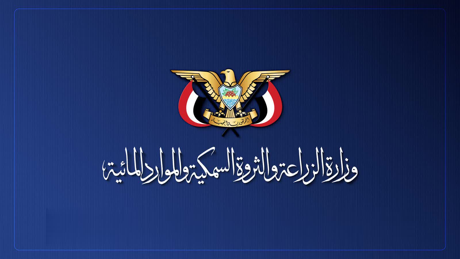 وزارة الزراعة تبدأ تصدير فائض إنتاج البطاطس