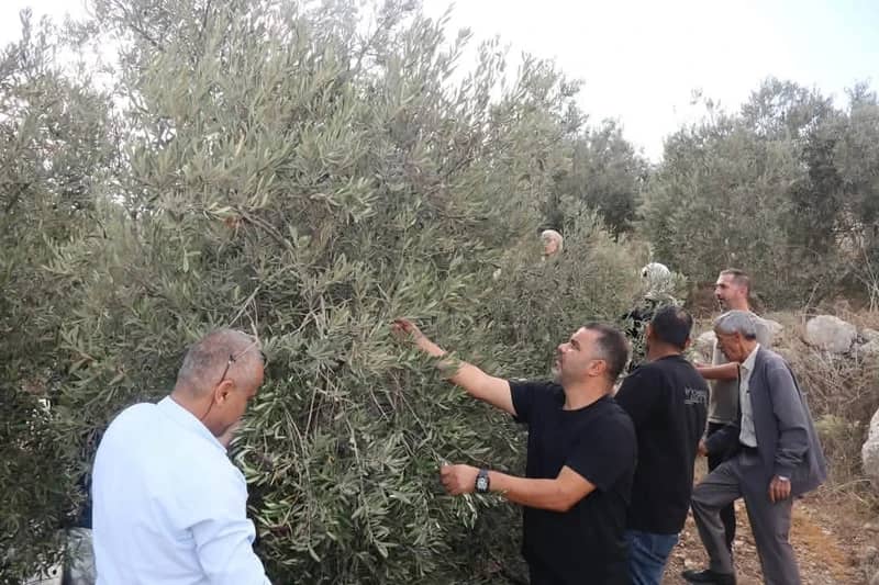 16 اعتداءً على المزارعين الفلسطينيين في ست محافظات بالضفة الغربية المحتلة