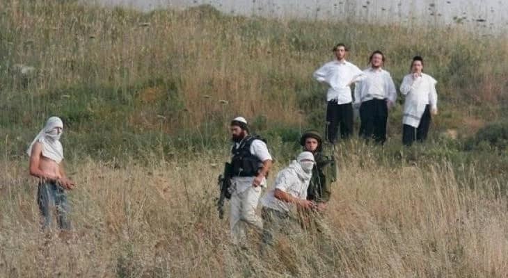 13 اعتداءً صهيونيًا على موسم الزيتون والأراضي الزراعية في الضفة